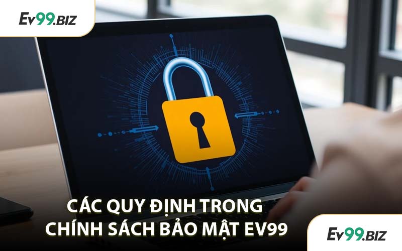 Các Quy Định Trong Chính Sách Bảo Mật EV99
