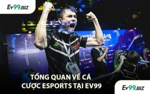 Tổng Quan Về Cá Cược eSports Tại EV99