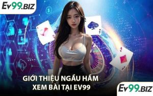 Giới thiệu Ngầu Hầm xem bài tại EV99