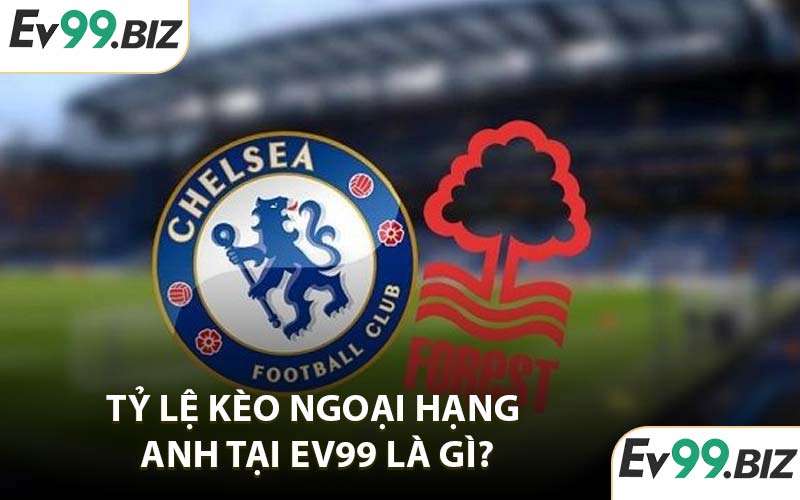 Tỷ lệ kèo Ngoại Hạng Anh tại EV99 là gì?