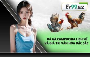 Đá gà Campuchia lịch sử và giá trị văn hóa đặc sắc