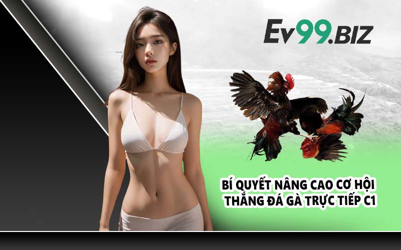 Bí quyết nâng cao cơ hội thắng đá gà trực tiếp C1